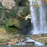 Colon شقة *