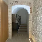 Colon شقة سيجوربي